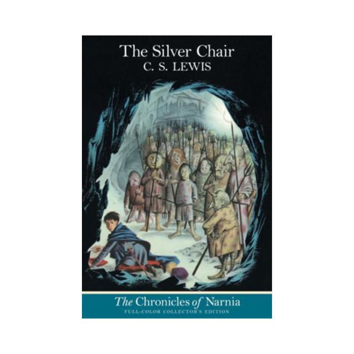 The Silver Chair