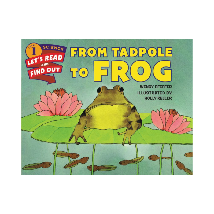 From Tadpole to Frog