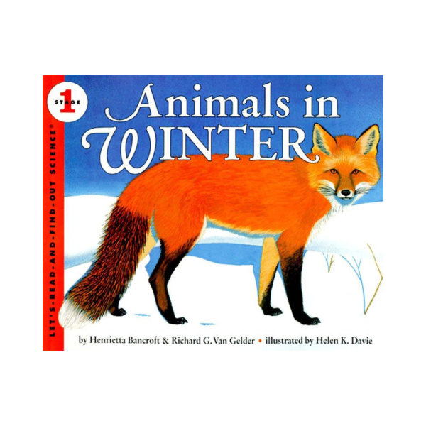 Animals in Winter