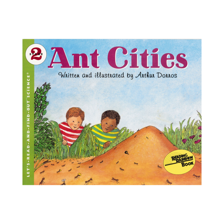 Ant Cities