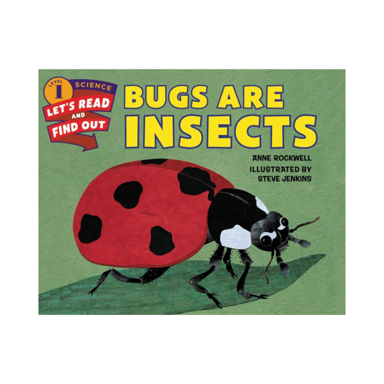 Bugs Are Insects