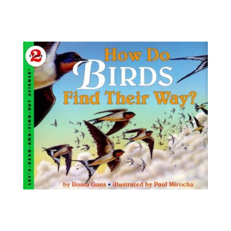 How Do Birds Find Their Way?