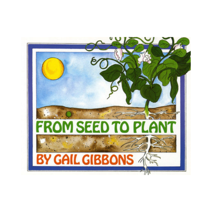 From Seed to Plant