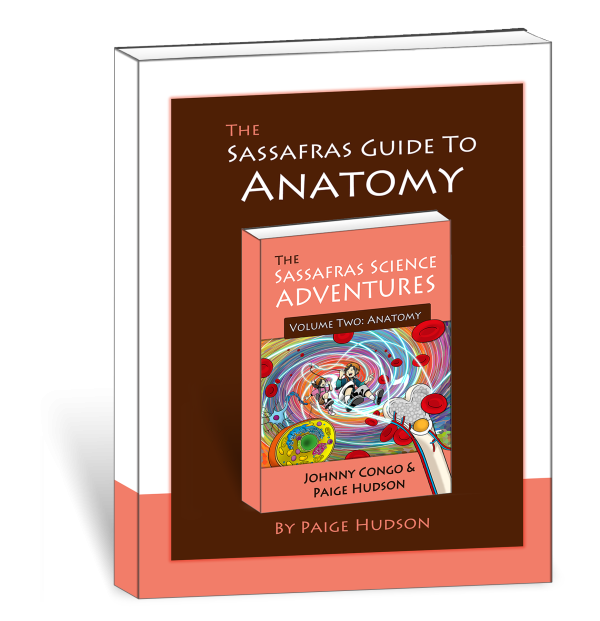 The Sassafras Guide to Anatomy