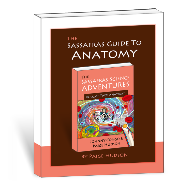 The Sassafras Guide to Anatomy