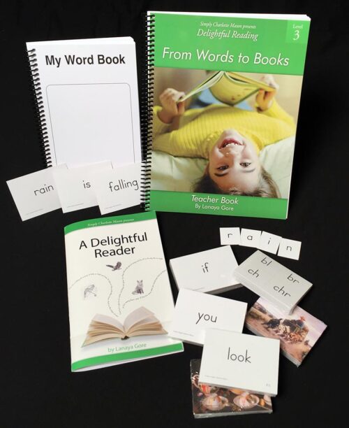 Delightful Reading Level 3: From Words to Books