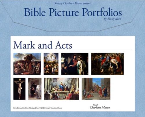 Bible Picture Portfolios Mark and Acts