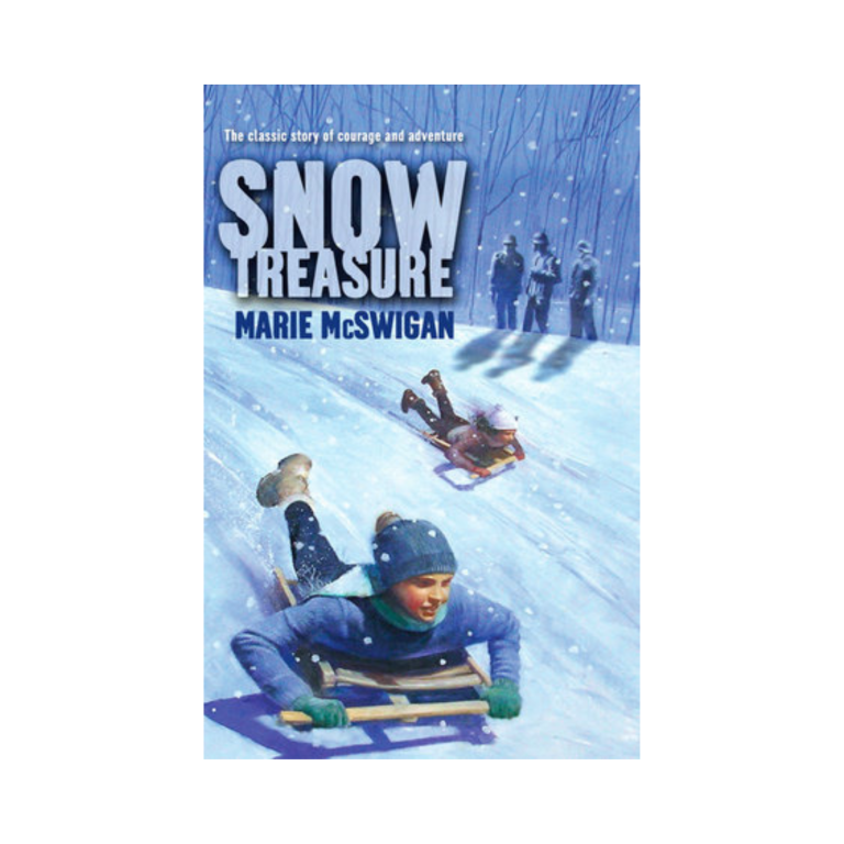 Snow Treasure