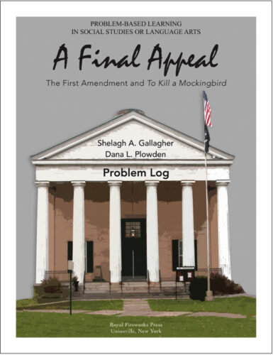 A Final Appeal - Problem Log