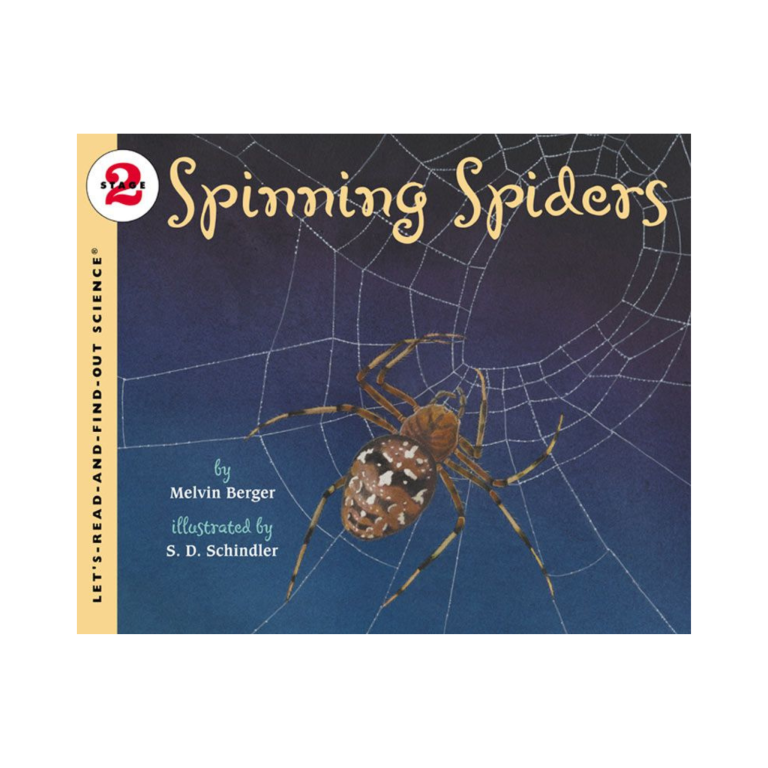 Spinning Spiders