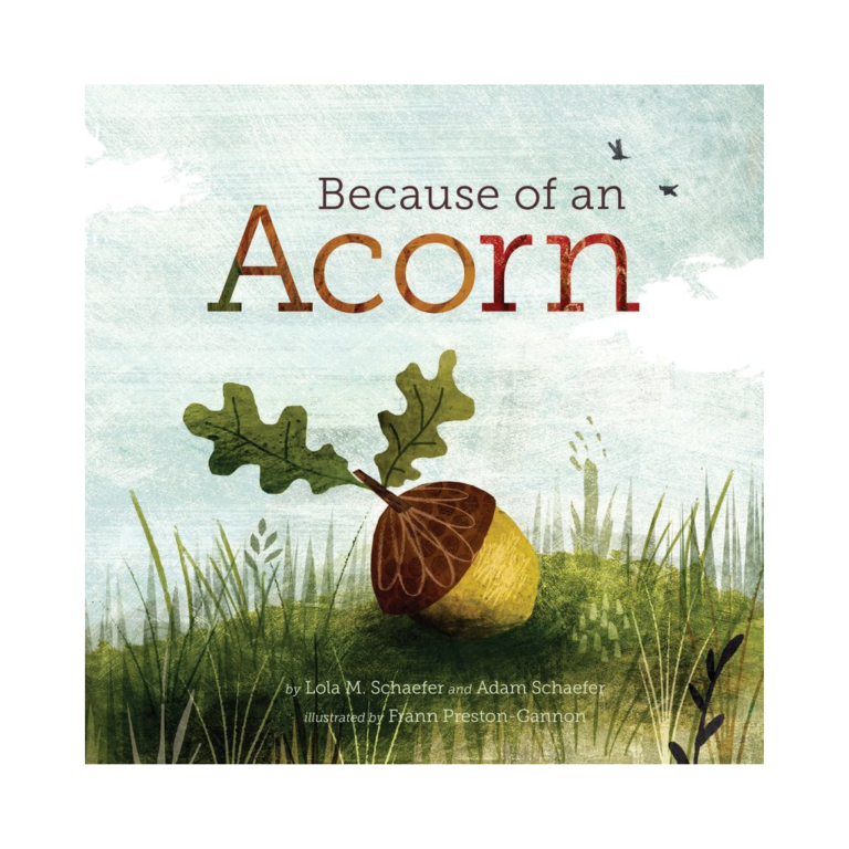 Because of an Acorn