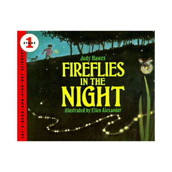 Fireflies in the Night