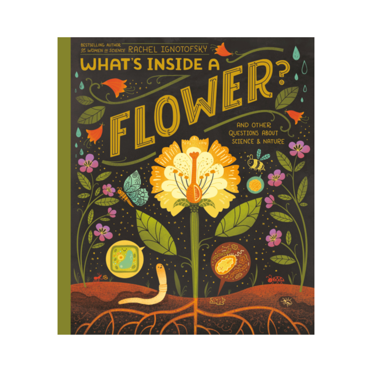 What's Inside a Flower? And Other Questions About Science and Nature