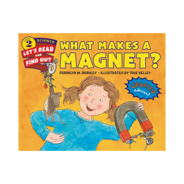 What Makes a Magnet?