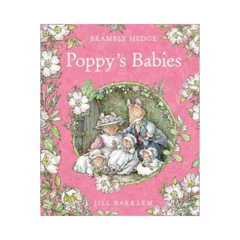 Brambly Hedge: Poppy's Babies