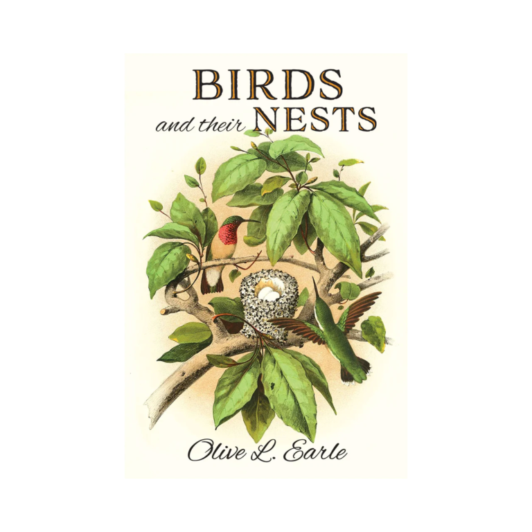 Birds and Their Nests