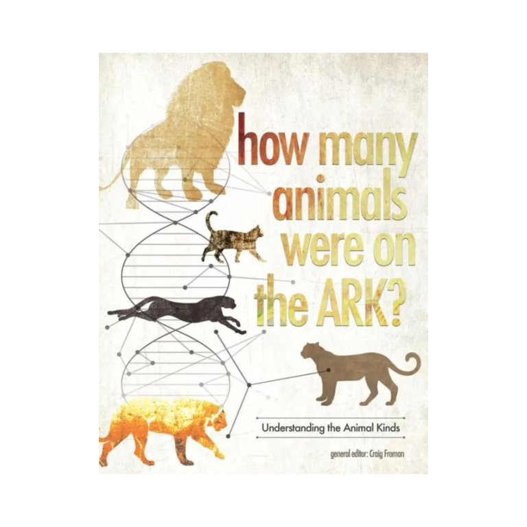 How Many Animals Were on the Ark?