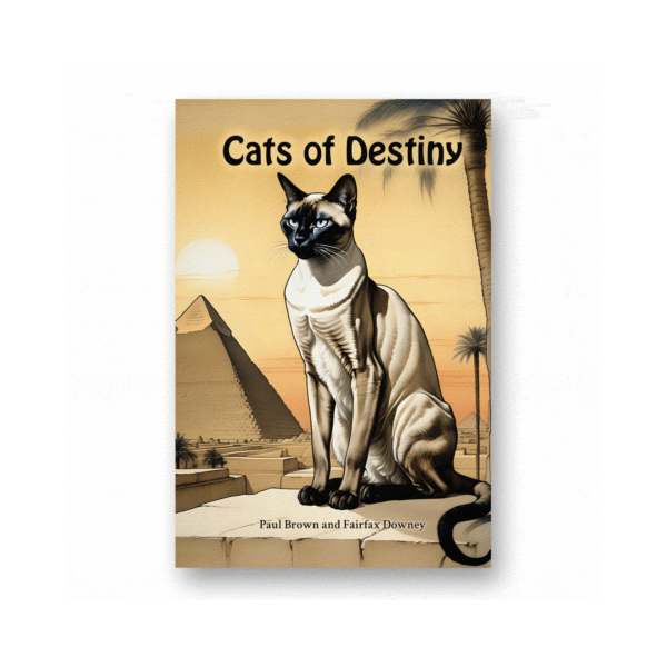 Cats of Destiny