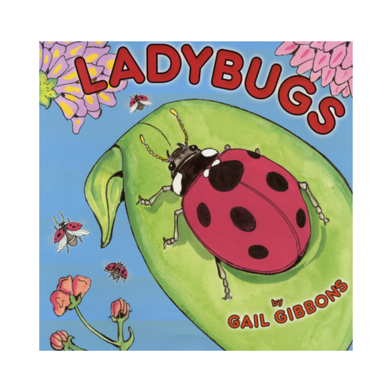 Ladybugs