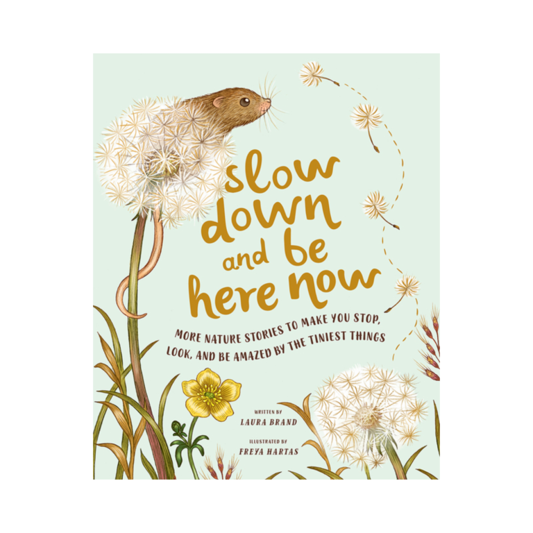 Slow Down and Be Here Now: More Nature Stories to Make You Stop, Look, and Be Amazed by the Tiniest Things