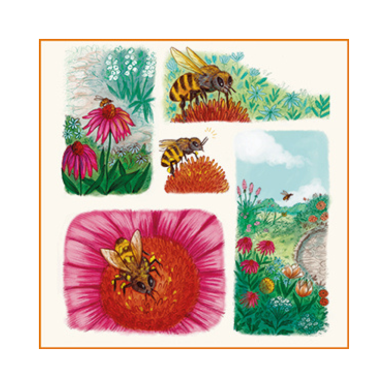 Slow Down...On Your Doorstep: Calming Nature Stories for Little Ones (Board Book) - Image 2