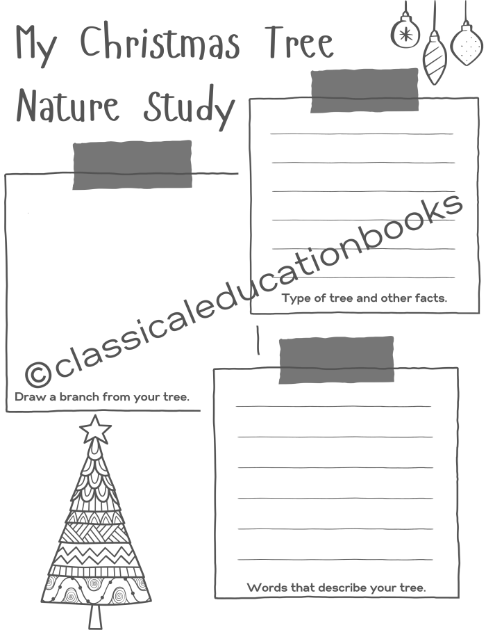 Christmas Tree Nature Study