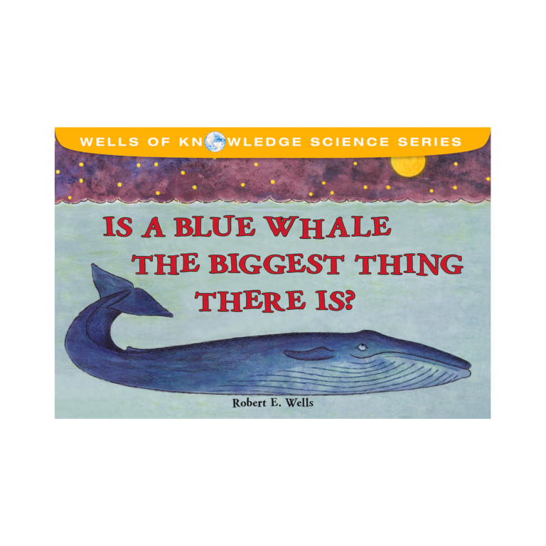 Is a Blue Whale the Biggest Thing There Is?