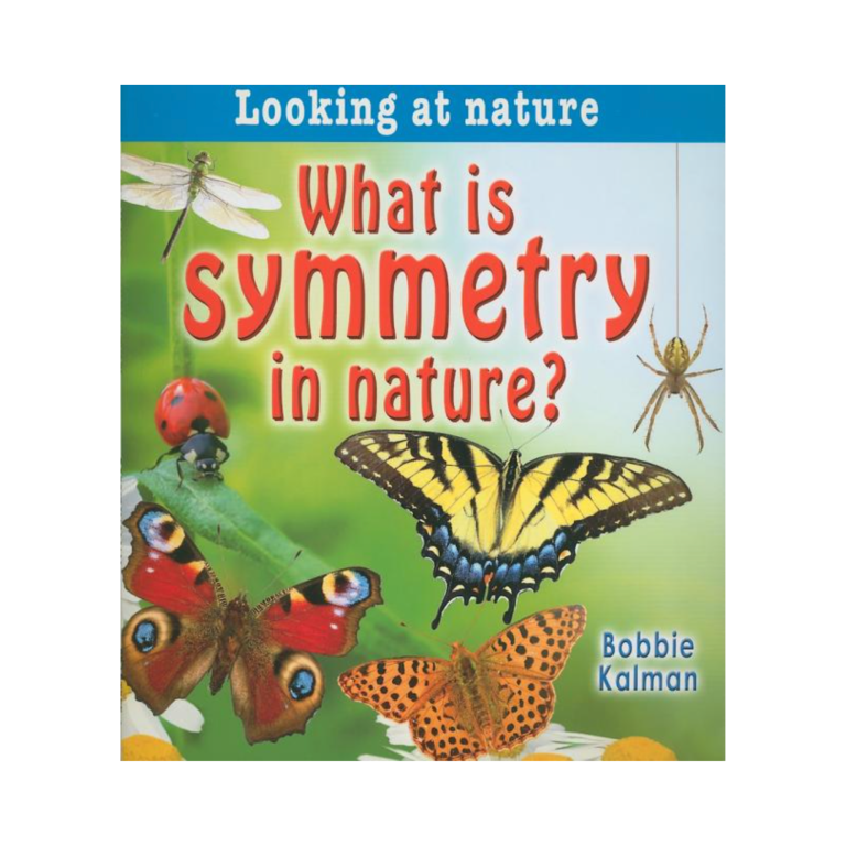 What is Symmetry in Nature?