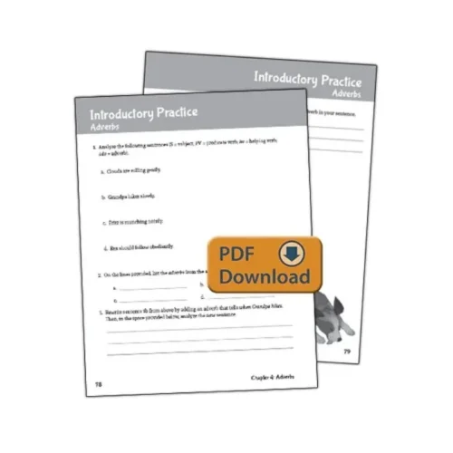 Well-Ordered Language: Level 1B – Extra Practice & Assessments (PDF)