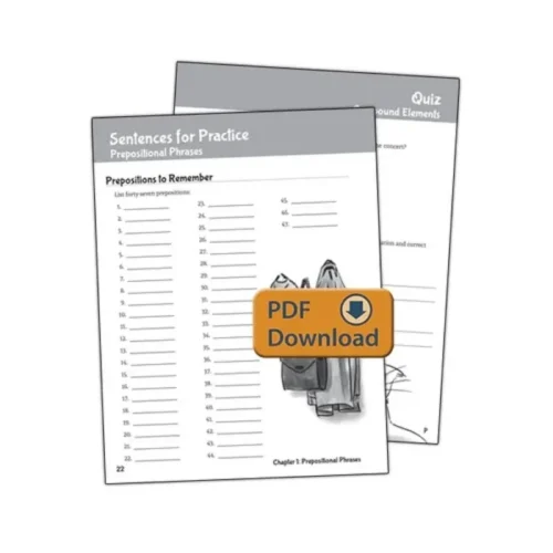Well-Ordered Language: Level 3B – Extra Practice & Assessments (PDF)