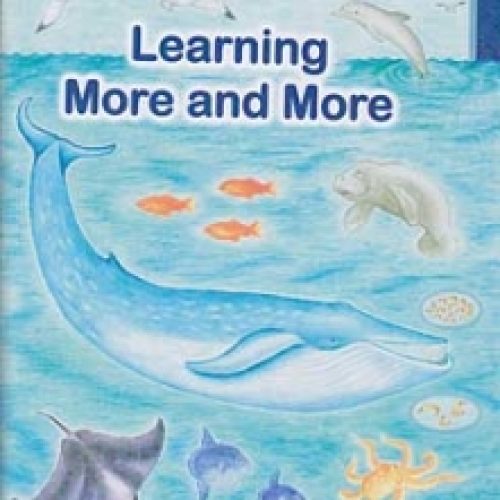 Learning More and More
