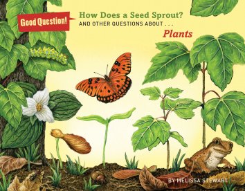 How Does a Seed Sprout