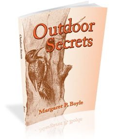 Outdoor Secrets