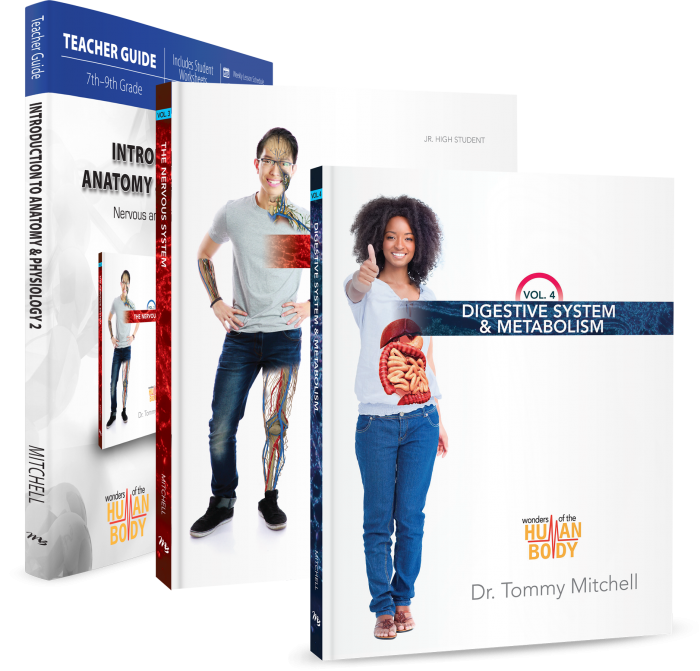 Introduction to Anatomy & Physiology 2 Package