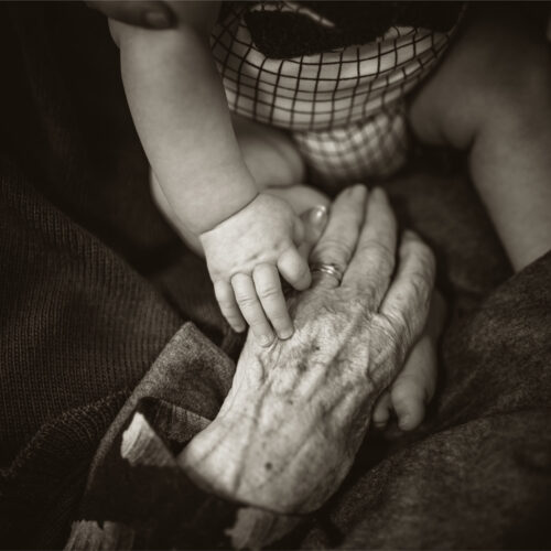 My Adult Children are Homeschooling My Grandchildren - Now What?