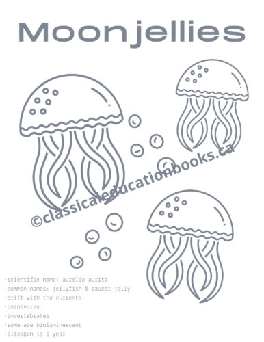 Moonjellies