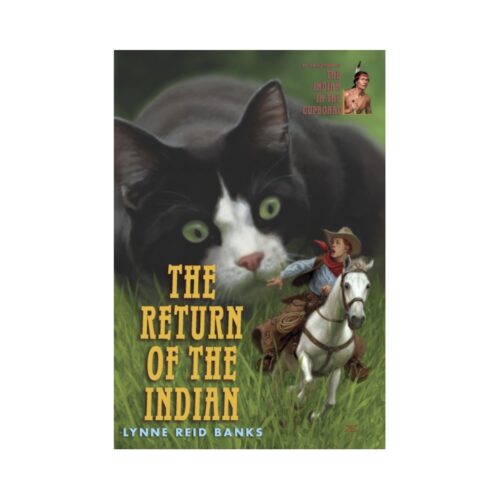 The Return of the Indian