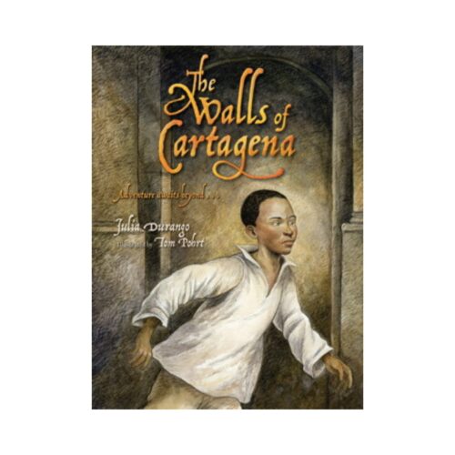 The Walls of Cartagena