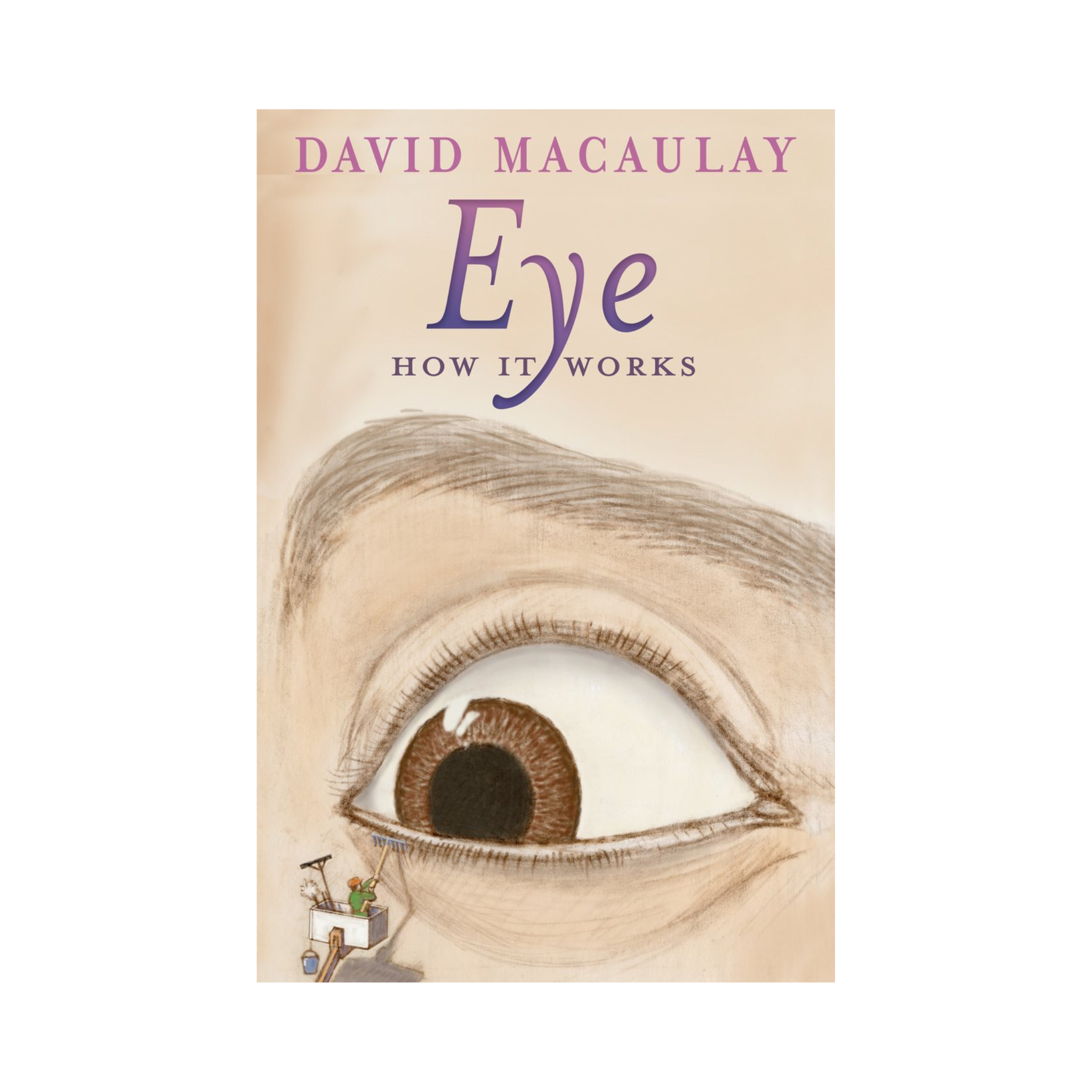 Eye: How It Works